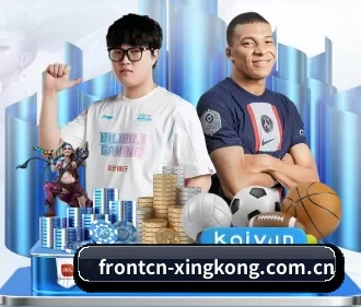 全流程赛事陪伴, 观赛有据可依(xingkong)